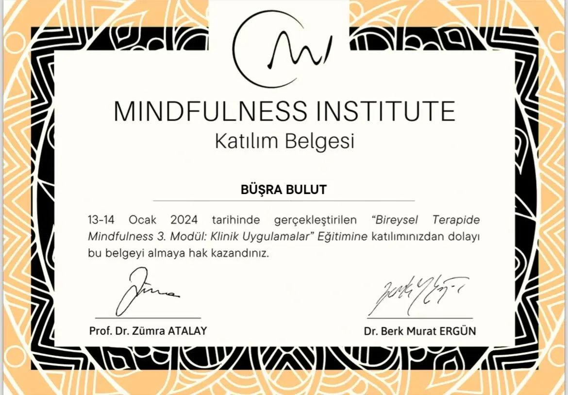 Mindfulness Institute Bireysel Terapide Mindfulness 3. Modül Klinik Uygulamalar katılım belgesi